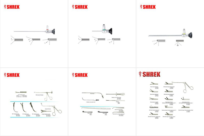 External ear examination